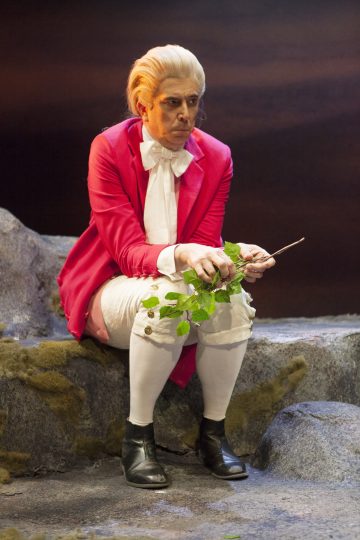 1700-luvun asuun pukeutunut henkilö, jolla on valkoinen peruukki, punainen takki, valkoiset sukat ja mustat kengät, istuu kalliolla pitäen kädessään oksaa, jossa on vihreitä lehtiä, ja katsoo mietteliäästi.