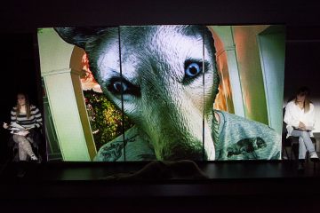 Kaksi naista istuu näyttämön vastakkaisilla puolilla. Heidän välissään on suuri, kirkkaasti valaistu valkokangas, jossa näkyy lähikuva koiran kasvoista, mikä antaa vaikutelman, että koira tuijottaa suoraan katsojaa.