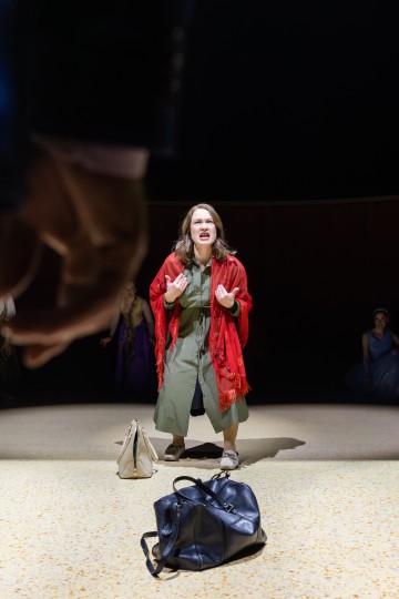 Punaiseen huiviin ja vihreään mekkoon pukeutunut nainen seisoo valokeilassa ja näyttää ahdistuneelta kädet kohotettuna. Hänen edessään lattialla on kaksi kassia, ja etualalla näkyy hahmon käsi.