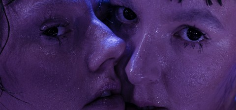 Lähikuva kahden ihmisen kasvoista, jotka ovat painautuneet tiiviisti yhteen, violetin valon valaisemina. Molemmilla on märkä iho ja intensiiviset ilmeet, ja heidän silmänsä tuijottavat suoraan kameraan.