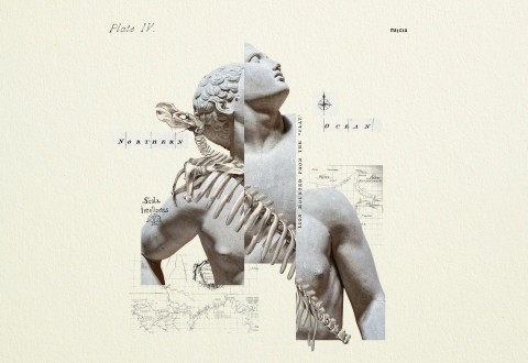 Kollaasi klassisesta marmoripatsaasta, joka on sekoitettu dinosauruksen luurankoon, jonka päälle on asetettu vintage-karttoja, tekstiä ja kompassiruusuja vaalealla taustalla. Kuvassa on vastakkain ihmisen historia ja luonnonhistoria.